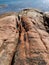 Pink Granite Rocks at Honeymoon Bay, Tasmania