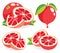 Pink grapefruits vector illustrations