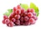 Pink grapes isolated on the white background