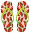Pink, green and red vector flip flops