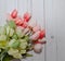 Pink and green tulips with a white background