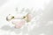 Pink Gua Sha massage tool. Rose Quartz roller. Gray shadow of the leaves on a white background. Facial skin care at home, anti-agi