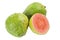 Pink guava fruit