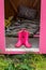 Pink gumboots stand in front of an old barn captured by children for a secret place