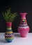 Pink handcrafted pottery vases and green branches with harsh shadow