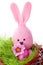 Pink handmade easter bunny with easter eggs