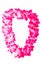 pink hawaiian lei beads with vibrant colors isolated on a white