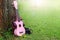 Pink headphones ukulele music and black camera on green grass.