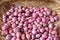 Pink healthy onions shallots in a bamboo tray