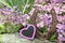 Pink heart and horseshoe in front of a spring meadow