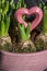 Pink heart among several bulbs with green leaves