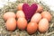 Pink Heart Yarns on eggs in the nest.