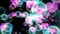 pink hearts aqua bubbles with dancing hearts floating on black screen with white star