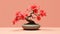Pink Hibiscus Bonsai Tree: Timeless Artistry On A Pink Background