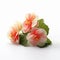 Pink Hibiscus Flowers In Mori Kei Style: A Delicate Blend Of Natural And Man-made Beauty