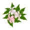 Pink Hibiscus Flowers or Pink Rose Mallow Flowers