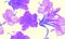 Pink Hibiscus Foliage. Vanilla Flower Jungle. Violet Seamless Painting. Purple Watercolor Foliage. Pattern Backdrop. Tropical Deco