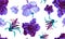 Pink Hibiscus Painting. Violet Flower Garden. Purple Seamless Painting. Blue Watercolor Wallpaper. Pattern Painting. Tropical Gard