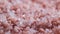 Pink Himalayan Rock Salt, Close Up.