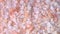 Pink himalayan salt. Close-up Himalayan Pink Rock Salt In wooden Spoon on black background. Fine grains of Pink