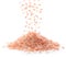 Pink himalayan salt falling on white background