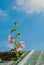 Pink Hollyhock Poking Through Roof