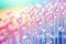 Pink holographic bubbles floating on the soft colorful abstract background in beautiful vivid tones.