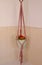 Pink homemade macrame plant hanger with small primroses plant