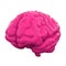 Pink Human brain isolated on white background. 3d illustration