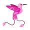 Pink Hummingbird with Long Beak Isolated on White Background Vector Illustration