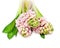 Pink hyacinth