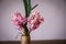 Pink hyacinth flower in homemade vase