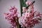 Pink hyacinth flower in homemade vase