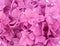 Pink hydrangea background