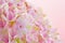 Pink hydrangea flowers closeup