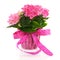 Pink Hydrangea with ribbon