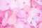 Pink hydrangeas in blur style on mulberry paper texture