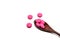 Pink ibuprofen pills in wooden spoon