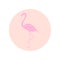 Pink icon flamingo.