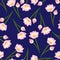 Pink Indian lotus on Navy Blue Background. Nelumbo nucifera,sacred lotus, bean of India, Egyptian bean. National flower of India