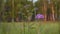 Pink Ivan Tea Flower on Blurred Green Forest Background. Beautiful Flowers Ivan-tea Blooms in the Field. Field of