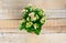 Pink Kalanchoe flowers in a pot on a wooden background. Sunshine. Located in the middle