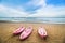 Pink kayaks on the beach.