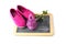 Pink kid shoes and a flower on a writing blackboard isolated on