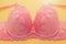 Pink lace bra on the yellow background