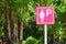 Pink ladies parking sign mark on nature background, copy space