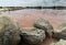 Pink lagoons or salt mines of Xtampu, located between Telchac and Dzemul, a group of fishermen decided to rescue the salt work and