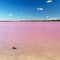 Pink Lake Australia