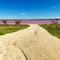 Pink Lake Dimboola Victoria