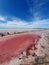 Pink lakes in the Kherson region